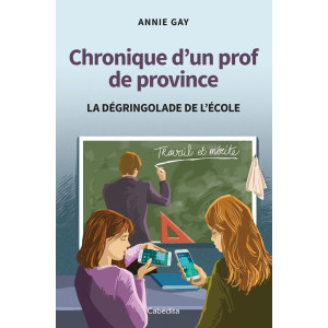 CHRONIQUE D'UN PROF DE PROVINCE