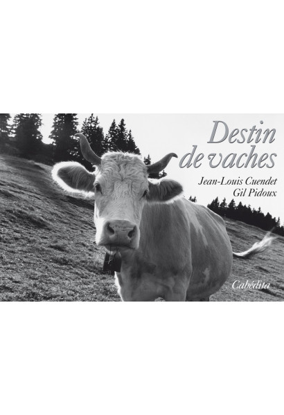 DESTIN DE VACHES