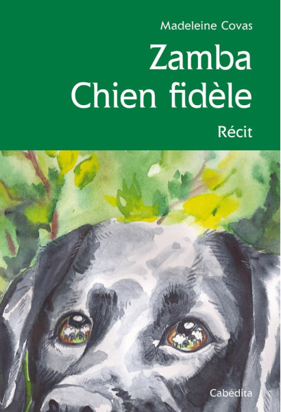 ZAMBA CHIEN FIDÈLE