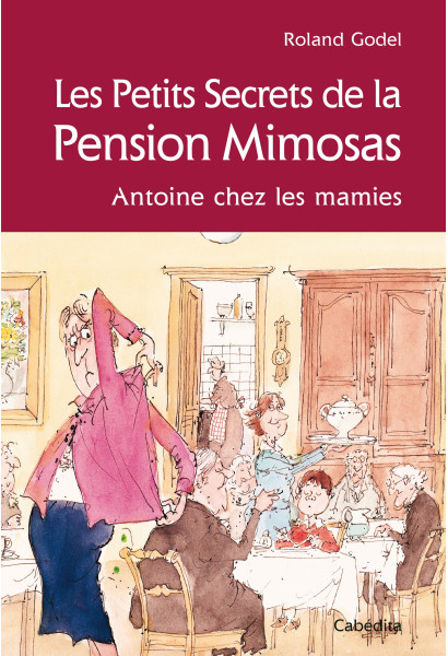 LES PETITS SECRETS DE LA PENSION MIMOSAS