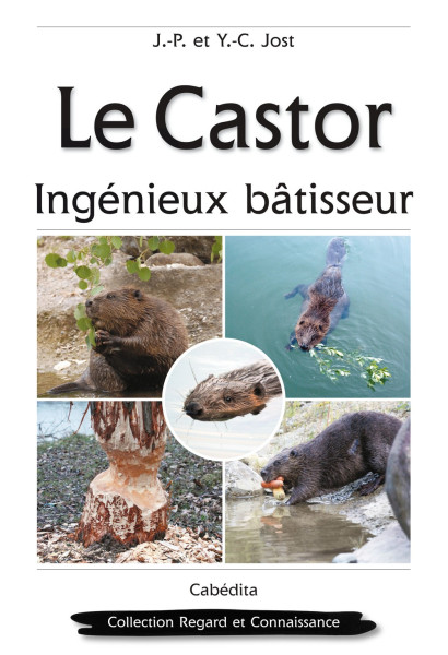 LE CASTOR - INGÊNIEUX BÂTISSEUR